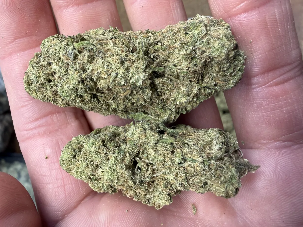 Super Sour Diesel Packaged Flower